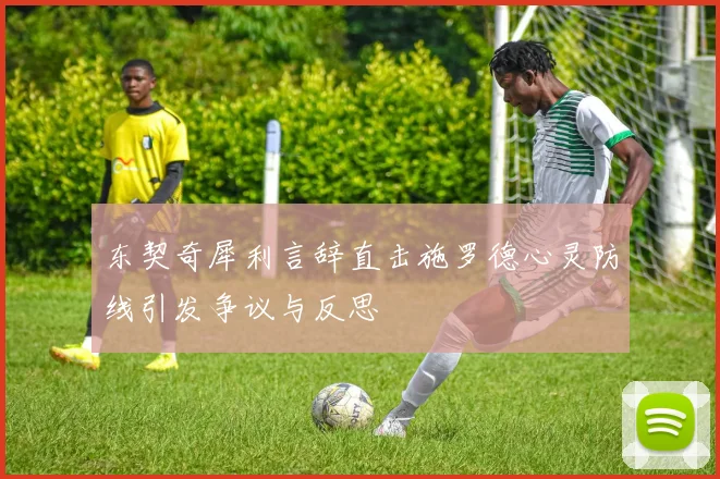 东契奇犀利言辞直击施罗德心灵防线引发争议与反思